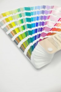 Exhibition Design Color Palette