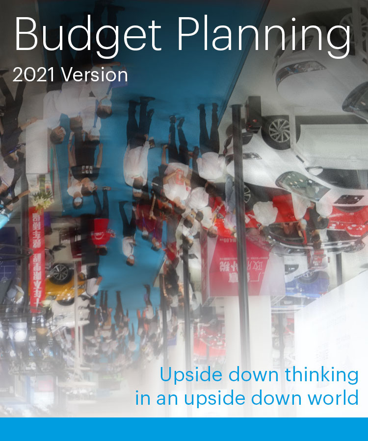 Budget Planning - 2021 Version...Upside Down Thinking in an Upside Down World - Idea International, Inc.