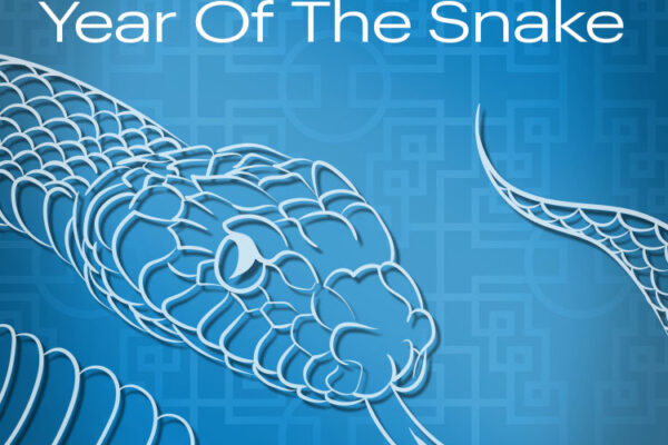 2025 - Welcome to the Year of the Snake | Idea International Newsletter January 2025