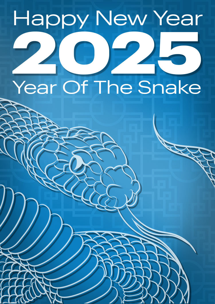 2025 - Welcome to the Year of the Snake | Idea International Newsletter January 2025