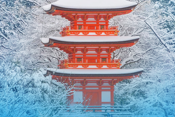 Happy Holidays 2025! - Idea International, Inc. Newsletter December 2025