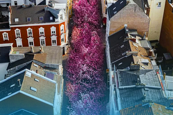 What's Next? Newsletter - Idea International March 2026