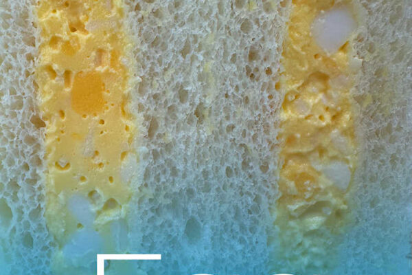 Egg Salad - Idea International Inc. Newsletter July 2026